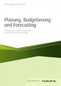 Planung, Budgetierung und Forecasting - inkl. Arbeitshilfen online